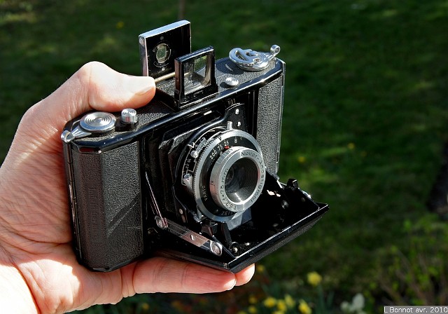 DSC01351a.jpg - ZEISS-IKON modèle "NETTAR 515/16" fabriqué vers 1951 (Allemagne)