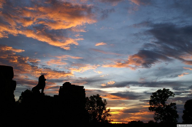 PICT5593.JPG - Crépuscule sur la jungle d'Angkor, au temple de Pré-Rup
