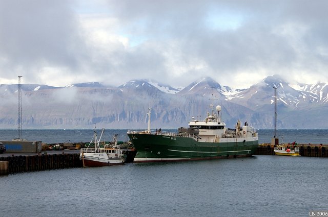 PICT1019.JPG - Port de Husavik