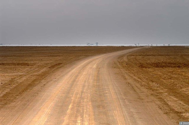 PICT9792.JPG - Mirage au Parc National de Amboseli (alt 1200m)